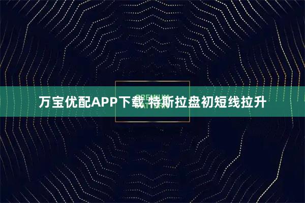 万宝优配APP下载 特斯拉盘初短线拉升